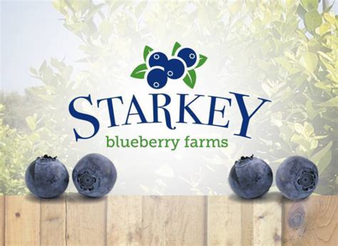 starkey ranch blueberry farm  Create new account